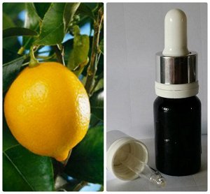 39 Эфирное масло Лимон испанский Citrus limon, 5 мл