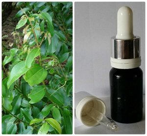 BUSTAN BUDUR 16 Эфирное масло корицы (листья и побеги) Cinnamomum cassia, 5 мл