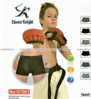 ПОДРОСТОКОВЫЕ трусы-боксеры для мальчиков Clever Knight арт. G 7001