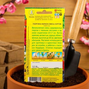 Семена цветов Георгина "Фараон", смесь окрасок, О, 0,3 г