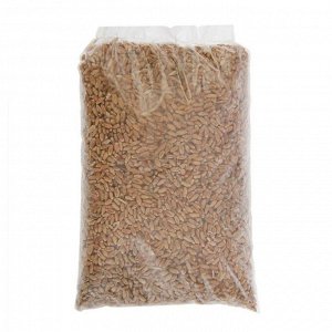Семена Пшеница, 0,3 кг