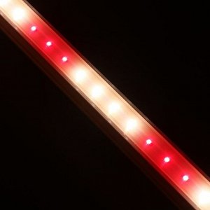 Фитосветильник светодиодный, 14 Вт, 872 мм, IP20, сине-красный спектр, бело-красный, «ЭРА»