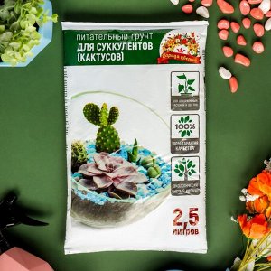 Грунт "Царица Цветов" для суккулентов, 2,5 л.