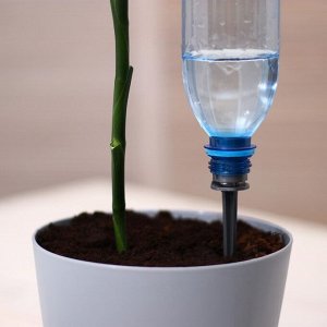 Автополив для комнатных растений под бутылку, регулируемый, серый, из пластика, высота 20 см, 4 шт.
