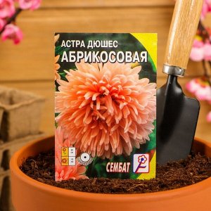 Семена цветов Астра пионовидная "Абрикосовая", 0.2 г