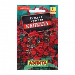 Агрофирма АЭЛИТА Семена Цветов Сальвия &quot;Капелла&quot;, красная, 0,1 г