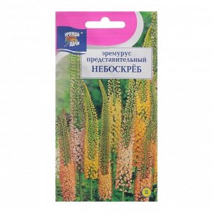 Семена цветов Эремурус "Небоскрёб", 3 шт