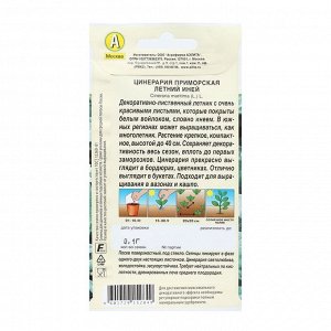 Семена Цветов Цинерария "Летний Иней", 0,05 г