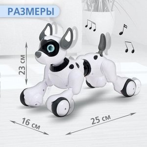 Робот-игрушка радиоуправляемый Собака Koddy, световые и звуковые эффекты, русская озвучка