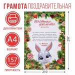 Почётная грамота с символом года 2023, А4., 157 гр/кв.м