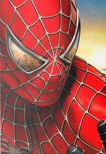 Картина по номерам Spider