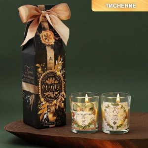 Новогодние свечи в стакане «Благополучия в Новом году», набор 2 шт., аромат еловые шишки