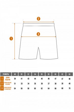 Raduga Шорты мужские &quot;5+3&quot; супрем