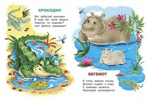 Ирина Шестакова: Животные зоопарка