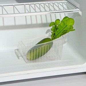 Контейнер для холодильника Доляна, 16,5?7?9 см, цвет прозрачный