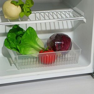 Контейнер для холодильника Доляна, 30?17?7 см, цвет прозрачный