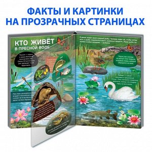 Книга с прозрачными страницами «Жизнь на земле. Животные и где они обитают», 30 стр.