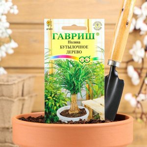 Семена комнатных цветов "Гавриш" Нолина "Бутылочное дерево", Мн., 3 шт.