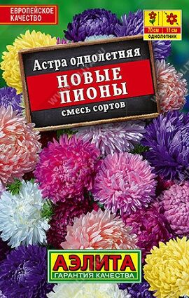 Астра Новые пионы смесь (лидер) (Код: 90486)