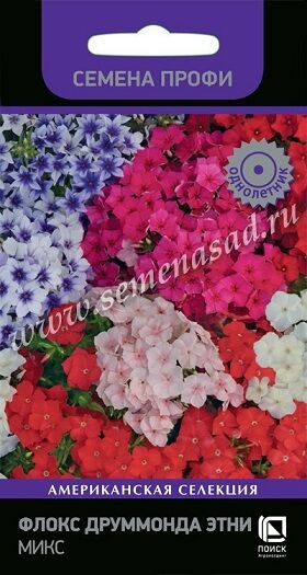 Флокс Этни Микс (Код: 90210)