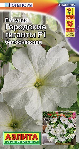 Петуния Городские гиганты белоснежные F1 (Код: 90566)