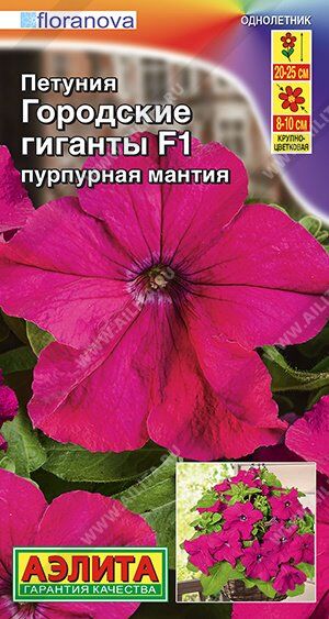 Петуния Городские гиганты пурпурная мантия F1 (Код: 90571)