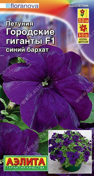 Петуния Городские гиганты синий бархатF1 (Код: 90568)
