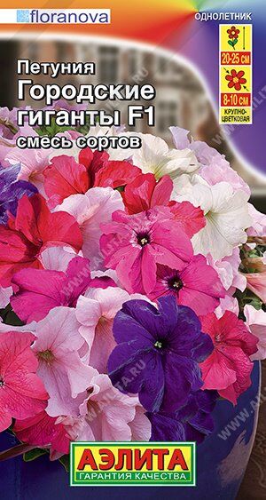 Петуния Городские гиганты смесь сортов F1 (Код: 90569)