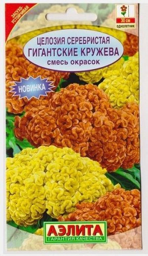 Целозия Серебристая Гигантские кружева (Код: 75527)
