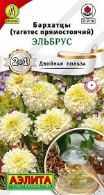 Бархатцы Эльбрус (Код: 90502)