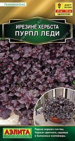 Ирезине Пурпл леди (Код: 90508)