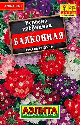 Вербена Балконная смесь (лидер) (Код: 90487)