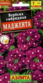 Вербена Маджента (Код: 90348)