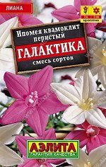 Ипомея Квамоклит Галактика (лидер) (Код: 90489)