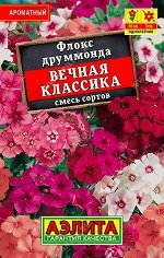 Флокс Вечная классика смесь (лидер) (Код: 90491)