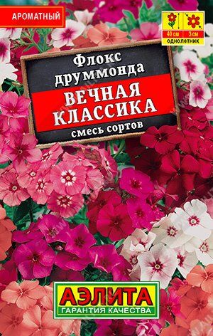 Флокс Вечная классика смесь (лидер) (Код: 90491)