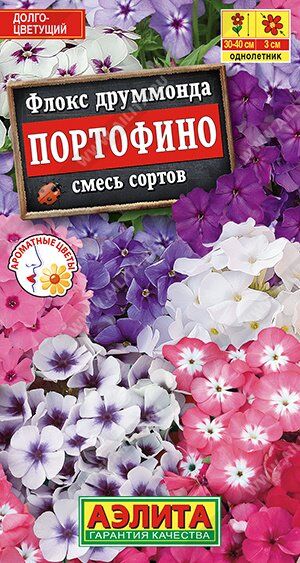 Флокс Портофино (смесь) (Код: 90519)