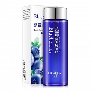 Тонер с черникой BIOAQUA Wonder Lotion, 120мл