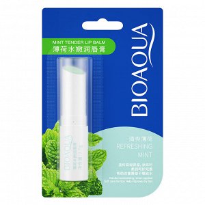 Бальзам для губ с экстрактом мяты «Bioaqua Refreshing Mint», 2,7 г