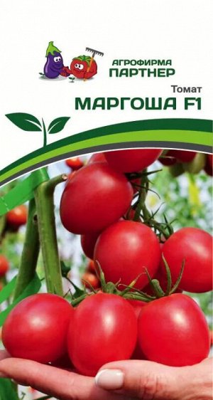 Томат Маргоша F1