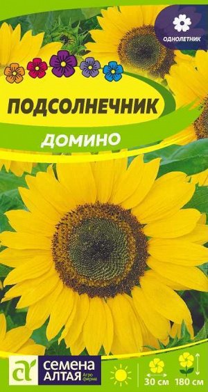 Цветы Подсолнечник Домино/Сем Алт/цп 0,5 гр.