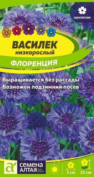 Цветы Василек Флоренция низкорослый/Сем Алт/цп 0,2 гр.