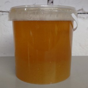 Мед липовый свежий 2022 фасовка 0,8 литра  (примерно 1 кг))