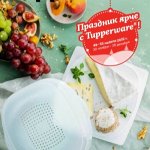 Спецпредложение месяца
