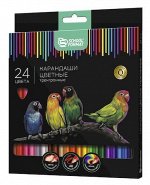 Карандаши 24цв &quot;Дикая планета&quot; КЦ24-ДП трехгранные повышенной мягкости SchoolФормат {Китай}