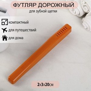 Футляр для зубной щётки Комфорт Плюс, 20x2x3 см, цвет МИКС