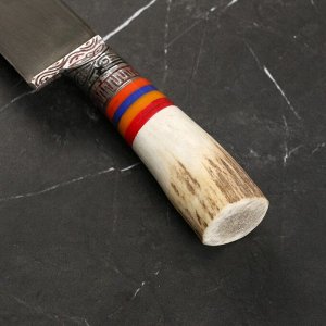 Нож Пчак Шархон - средний, олений рог, гарда гравировка, ШХ15