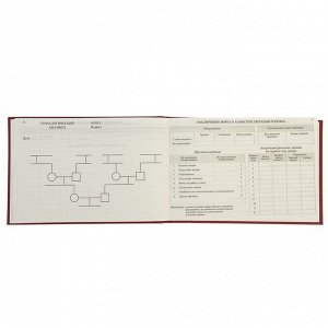 Медицинская карта ребёнка "История развития" А5, 205 х 150 мм, форма 112, красная, твёрдая обложка, 96 листов