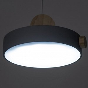 Светильник 2034840/1 LED 8Вт 3 режима 3000-6000К серый 20х21,5х17 см