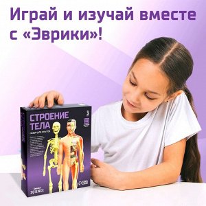 Научный опыт «Строение тела»